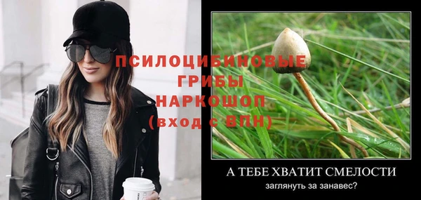 дурь Новокубанск