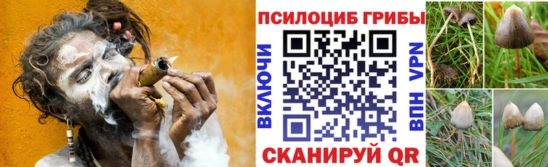 Галлюциногенные грибы мухоморы Бабушкин